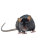 Probloc 25 | Mäuse- und Rattenköder per Kilo