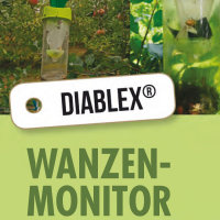 Pheromone zu Diablex® Wanzenmonitor für marmoriete Baumwanze