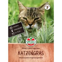 MINI-TIGER-GRAS Katzengras