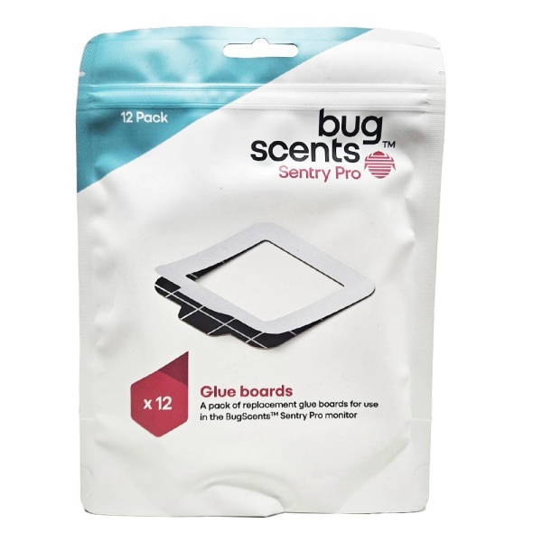 BugScents Bettwanzen - Klebeflächen 12 Stk