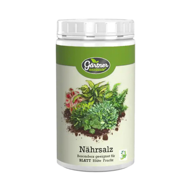 Gärtner Exclusiv Nährsalz für kräftiges Grün 1kg